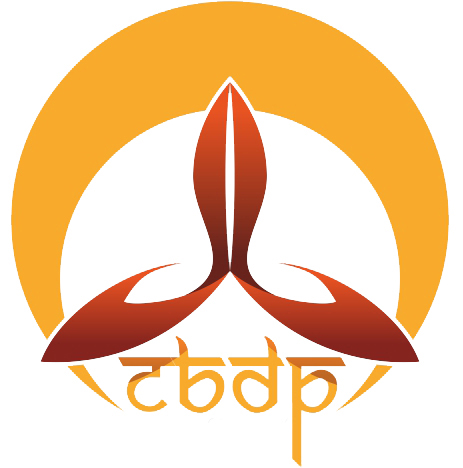 Community Bollywood Dance Project