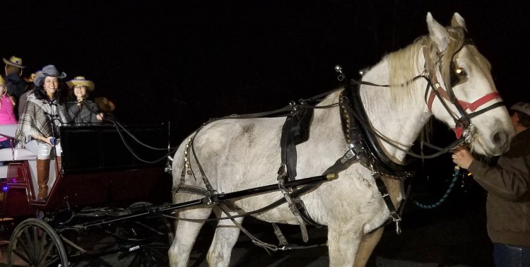 Celebrating Birthdays AND Horses!&nbsp;:)